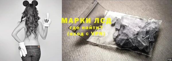 стаф Краснотурьинск