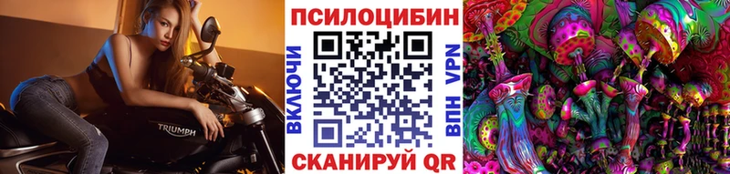 дарнет шоп  Канаш  Галлюциногенные грибы Cubensis 