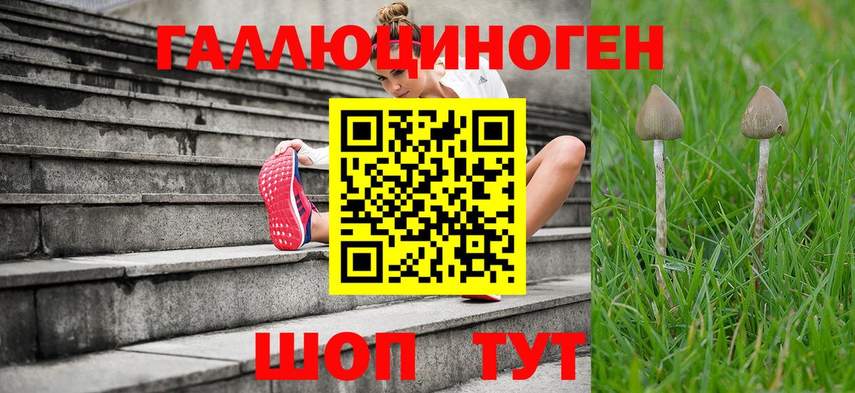 Канаш  Галлюциногенные грибы Psilocybine cubensis  Псилоцибиновые грибы Magic Shrooms  Вход с VPN 