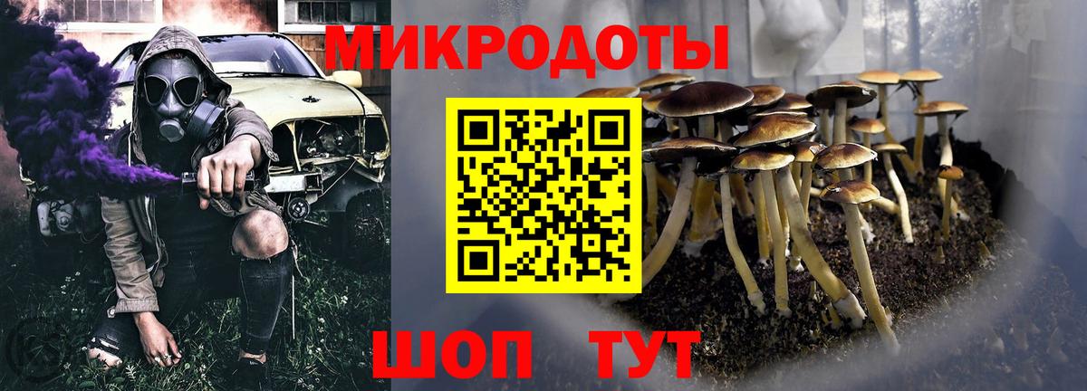 Галлюциногенные грибы Cubensis Канаш